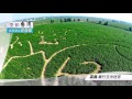 空拍台灣美景盡在旺傳媒：嘉義迷宮